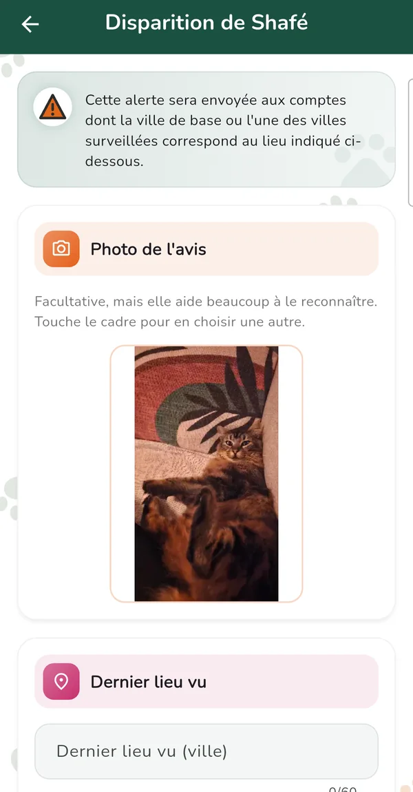Écran Disparition de Shafé : photo de l'avis et dernier lieu vu