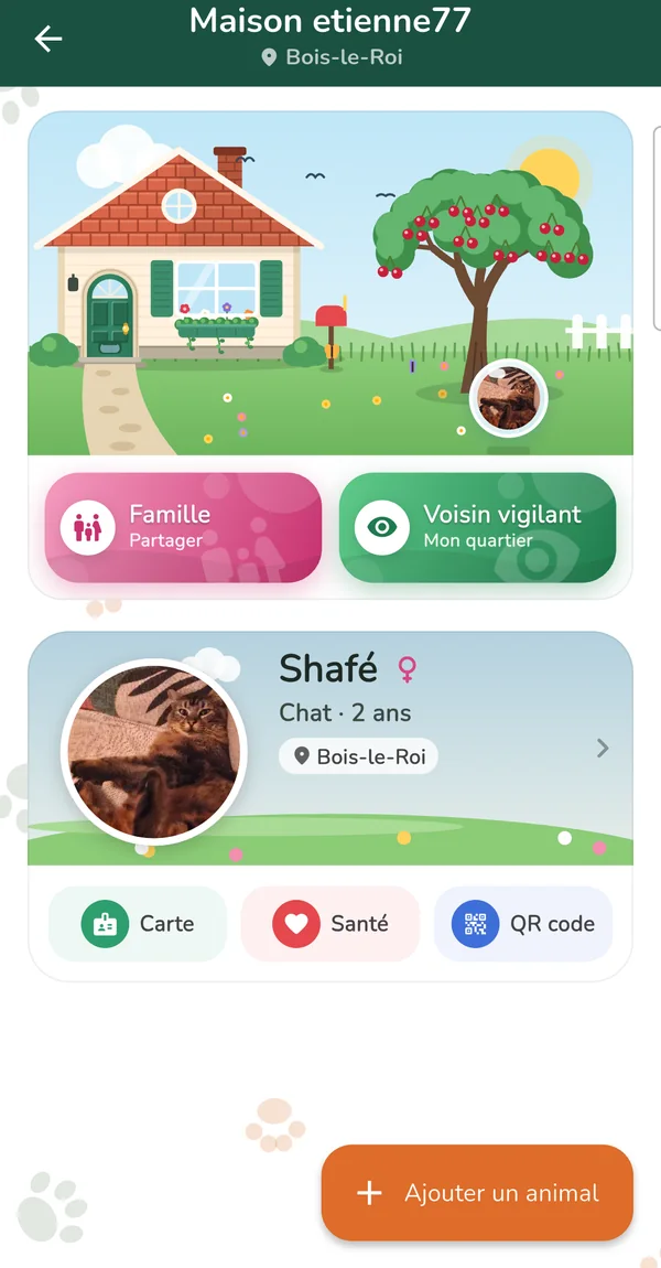 Écran Ma maison : une maison illustrée avec un cerisier et la fiche de la chatte Shafé