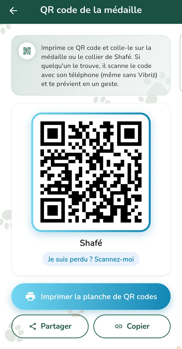 Écran QR code de la médaille avec le bouton Imprimer la planche de QR codes